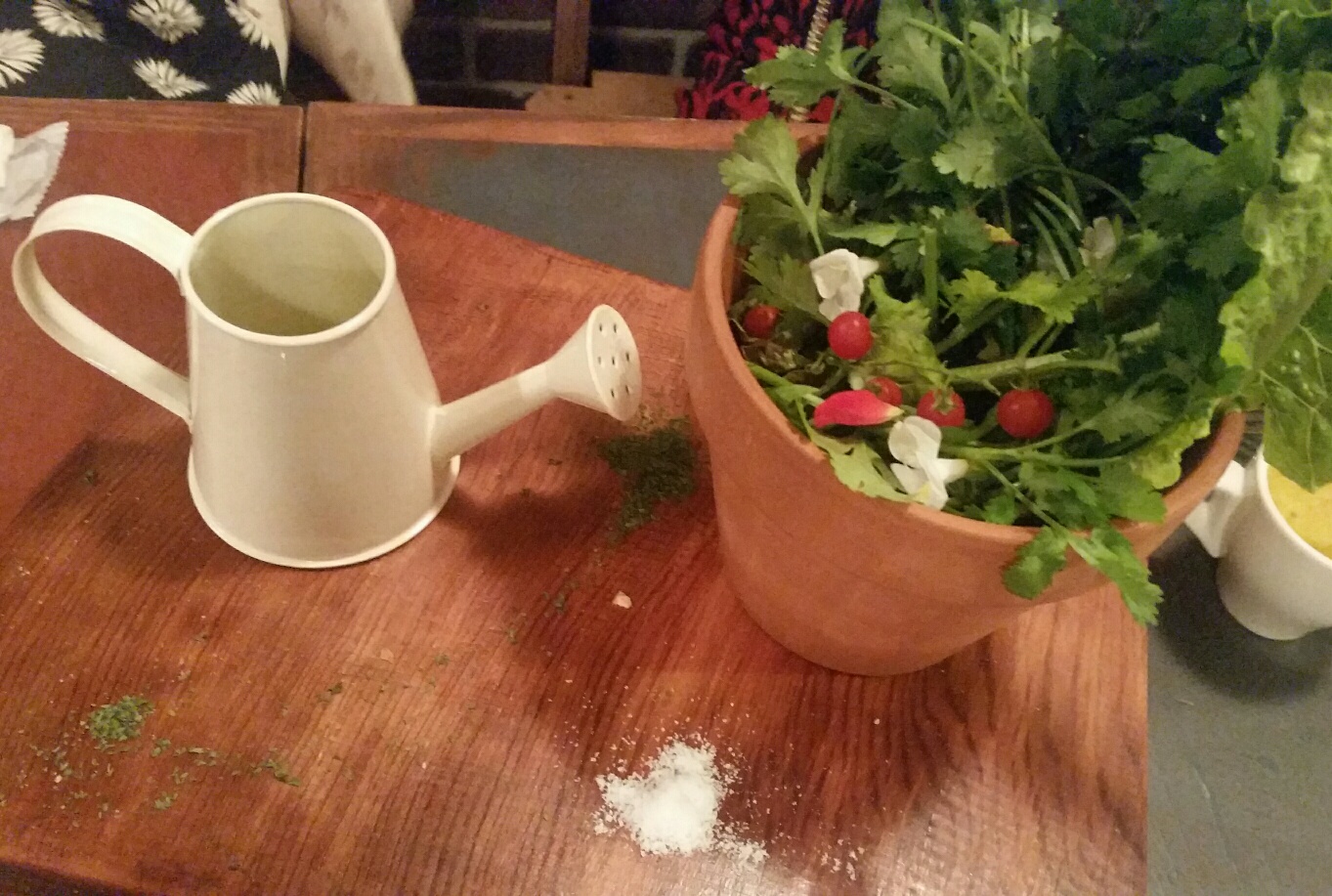 20151123_193203-1_resized