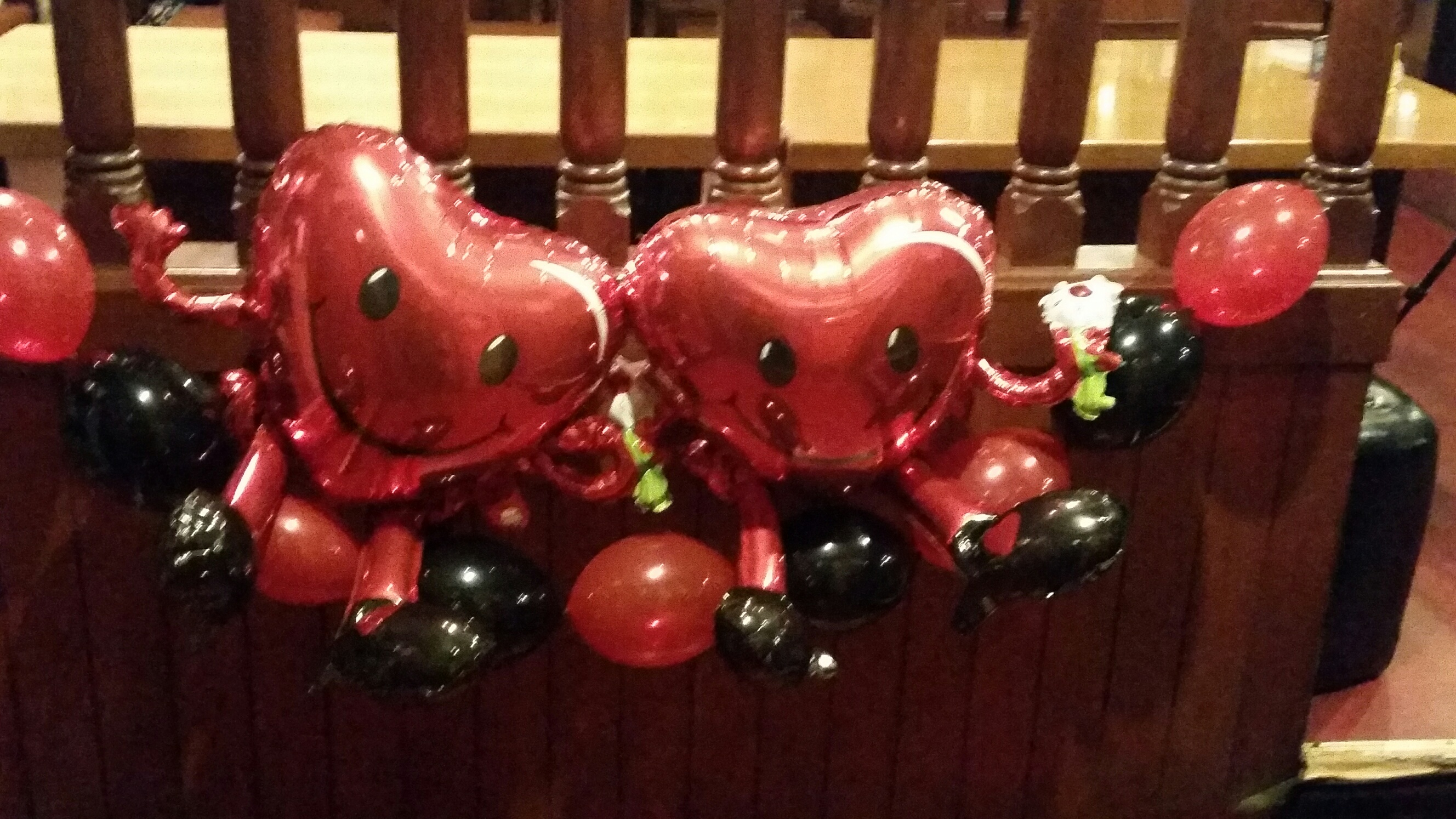 20160213_140021_resized